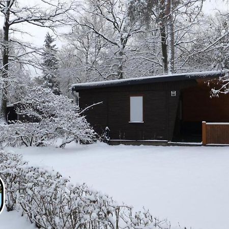 Glamping Kromlau Gablenz Εξωτερικό φωτογραφία